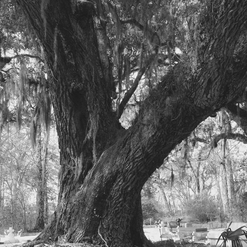 Meet your Posher, Shera